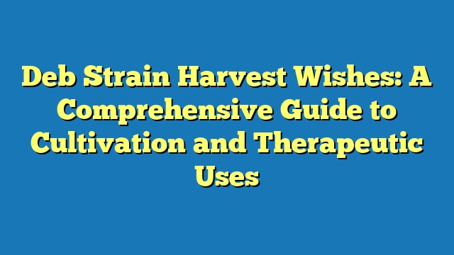 Deb Strain Harvest Wishes: A Comprehensive Guide to Cultivation and Therapeutic Uses