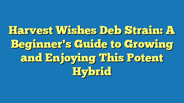 Harvest Wishes Deb Strain: A Beginner's Guide to Growing and Enjoying This Potent Hybrid