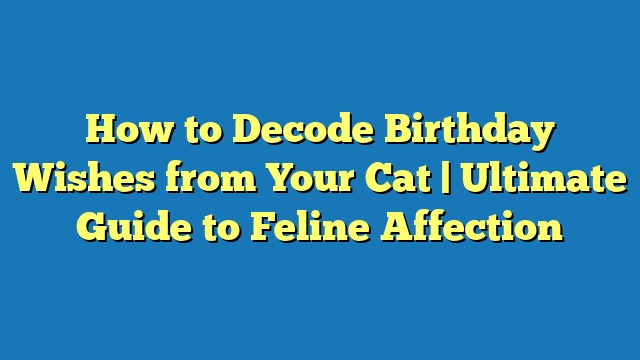 How to Decode Birthday Wishes from Your Cat | Ultimate Guide to Feline Affection